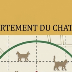 Pourquoi tant d'animaux ne retrouvent jamais leur foyer